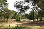 Sallandse Heuvelrug